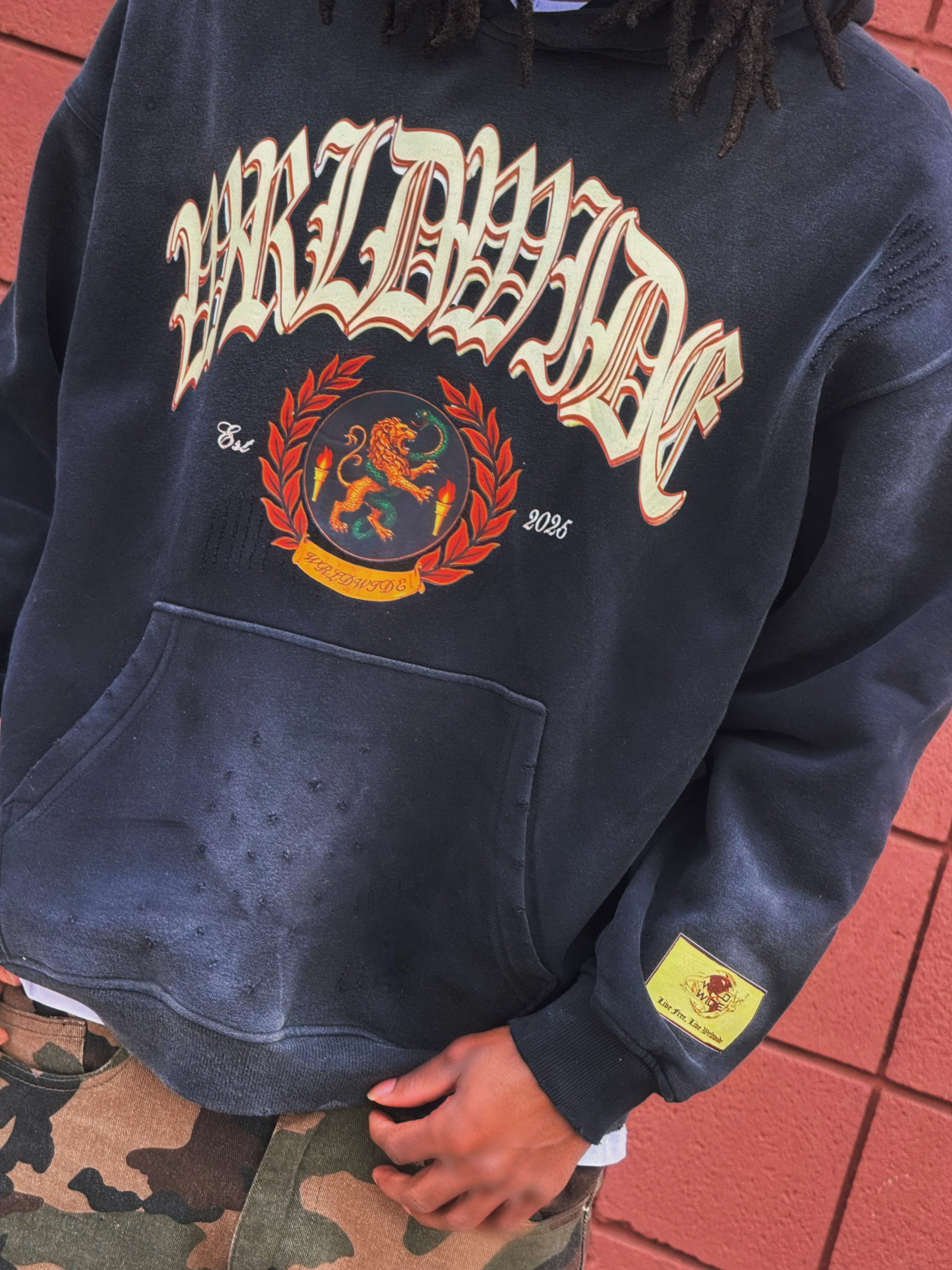 WRLDWIDE RESILIENCE HOODIE